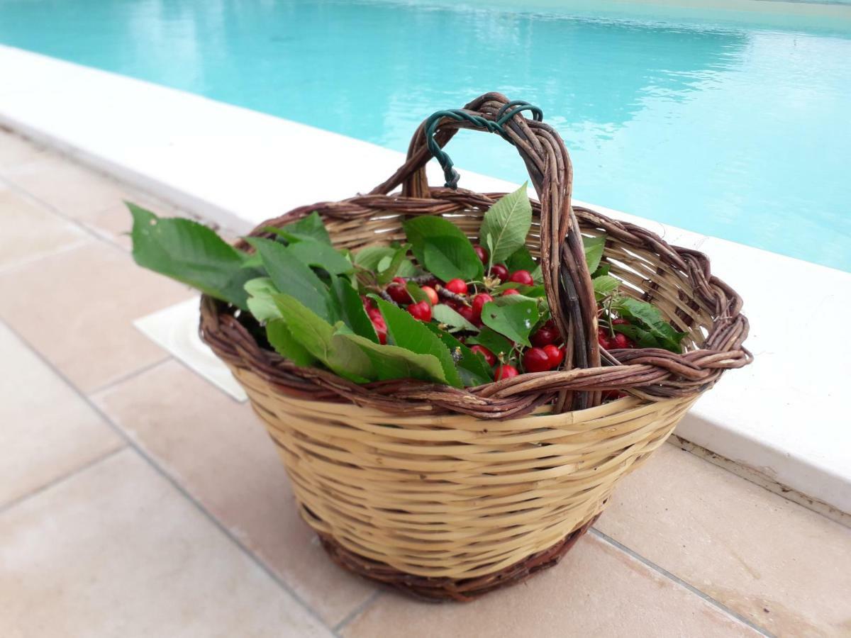 Relais Villa Sofia Calcinelli Luaran gambar